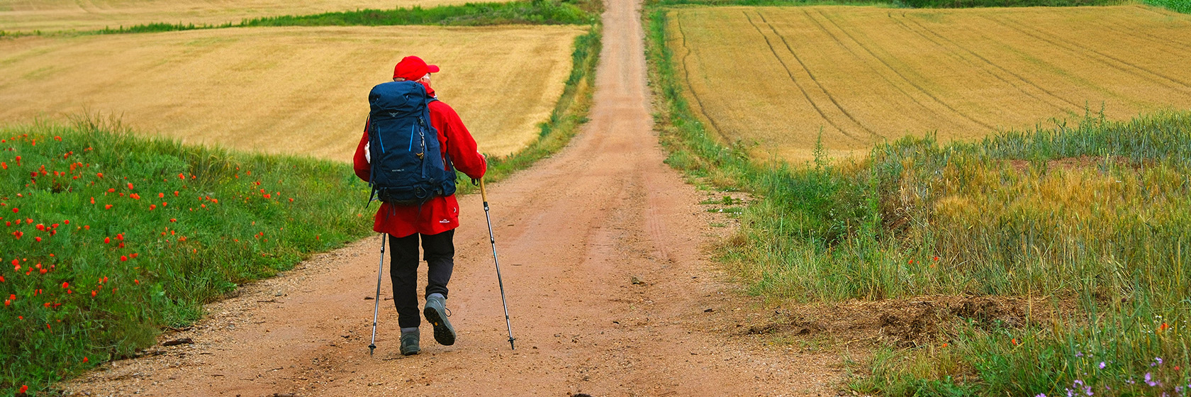 The Way, My Way | Book Tickets | Movies | Palace Cinemas