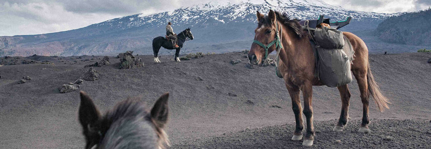 The Road To Patagonia Book Tickets Movies Palace Cinemas   5ed79995 Patagonia 1400x486 