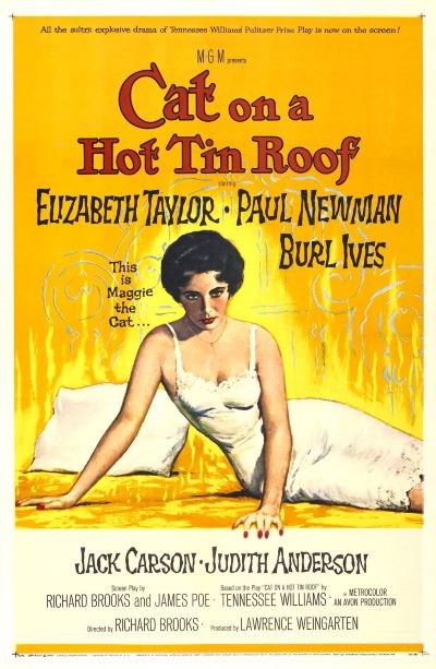 Cat On A Hot Tin Roof